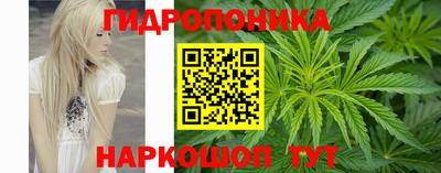 эйфоретик Заводоуковск