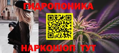 эйфоретик Заводоуковск