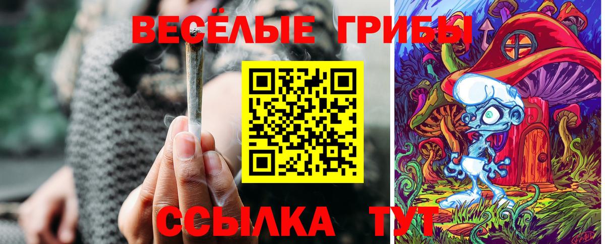 Галлюциногенные грибы мицелий Майский