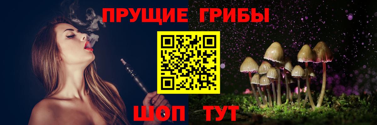 купить наркоту  Псилоцибиновые грибы Psilocybine cubensis  Вход с VPN  Майский 